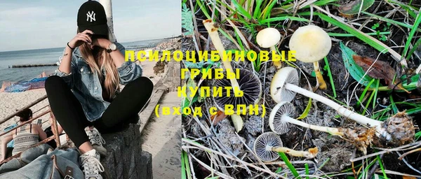 гидропоника Абинск