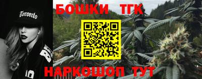 гашик Волжский