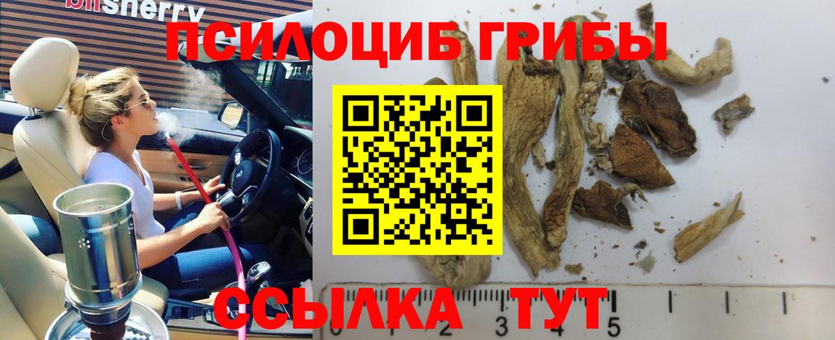 Галлюциногенные грибы MAGIC MUSHROOMS  Вход с VPN  Котлас 
