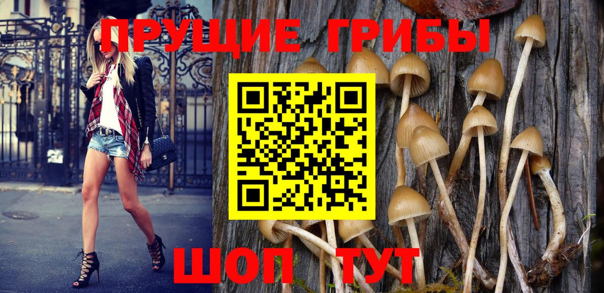 Псилоцибиновые грибы прущие грибы  где продают   Котлас  Галлюциногенные грибы MAGIC MUSHROOMS 