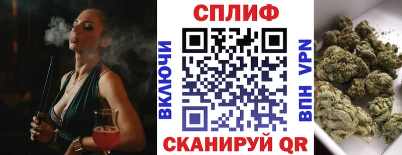 маркетплейс как зайти  Котлас  Конопля сатива 
