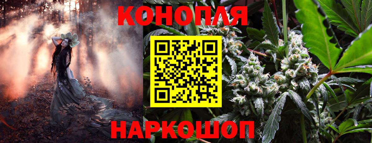 Марихуана THC 21% Котлас